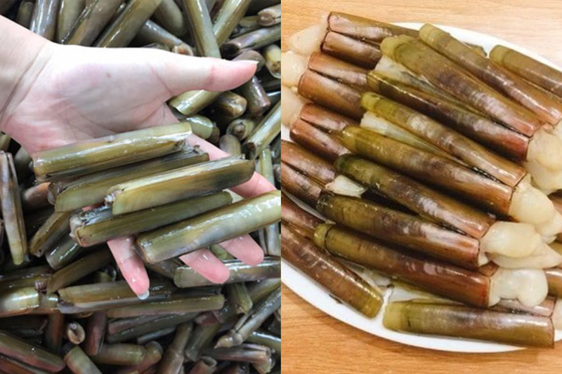 ốc móng tay nướng sa tế 7