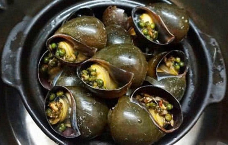 ốc nhồi hấp ảnh 2