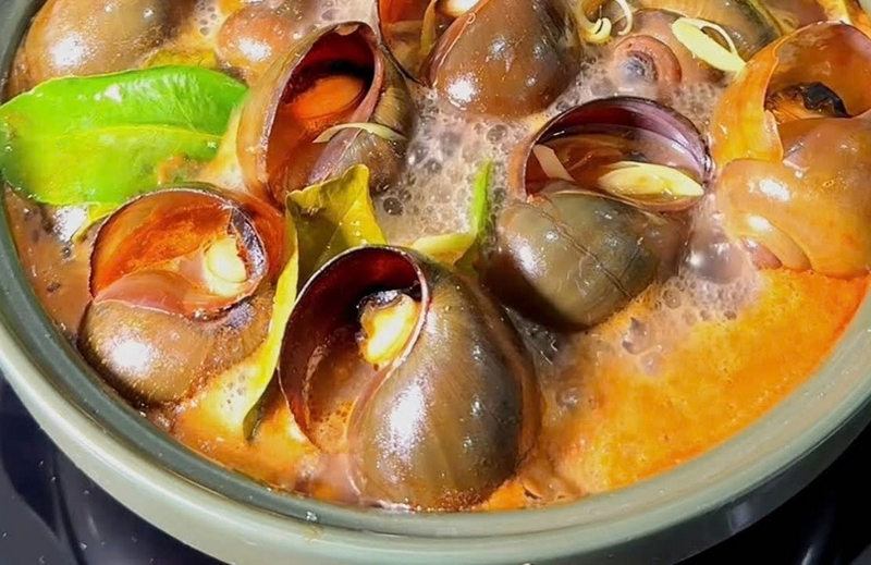 ốc nhồi hấp ảnh 4