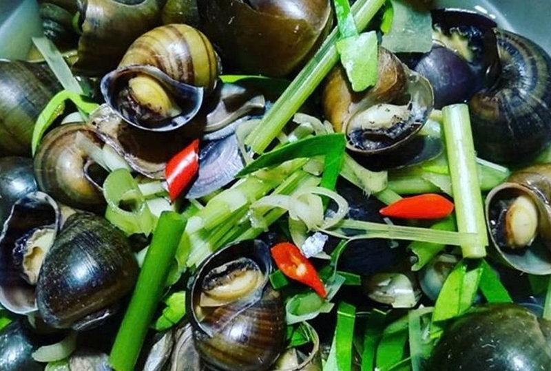 ốc nhồi hấp ảnh 6