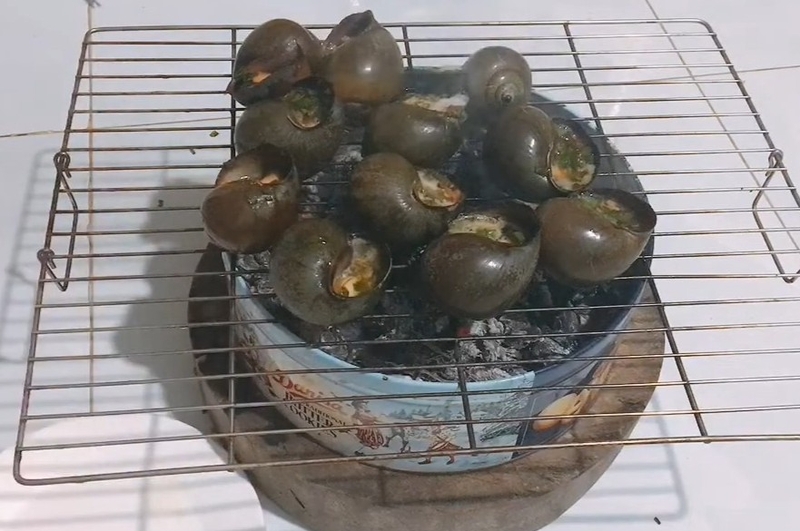 ốc nướng mỡ hành hình 8
