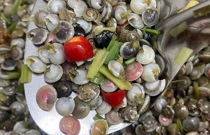 Ốc ruốc ảnh 2