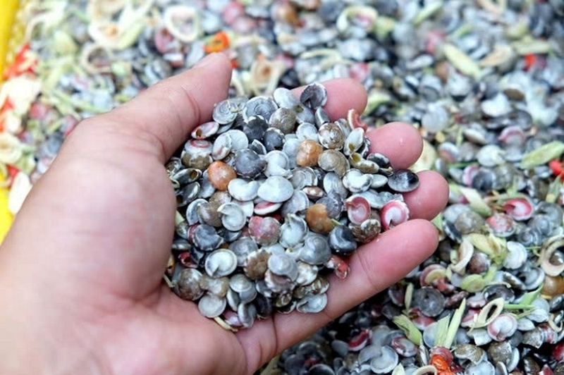 Ốc ruốc ảnh 6