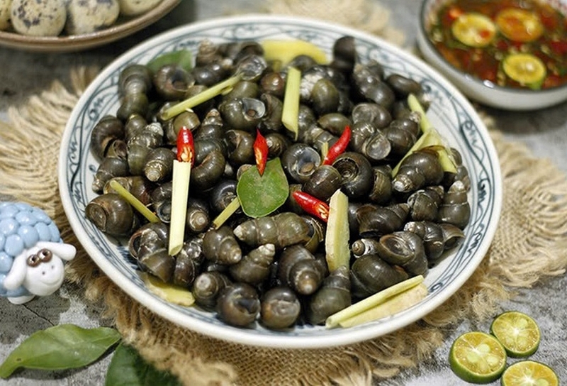 ốc trung thu ảnh 5