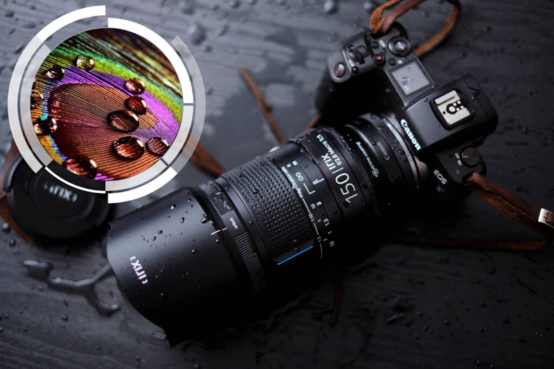 Ống kính macro là gì (ảnh 7)