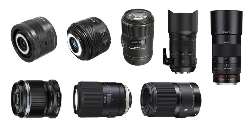 Ống kính macro là gì (ảnh 2)