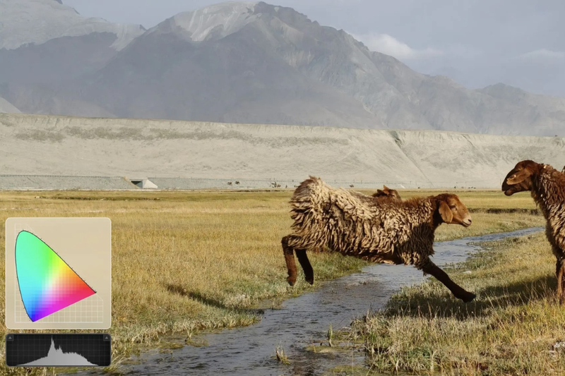 OPPO Find X9 5G 16GB 10