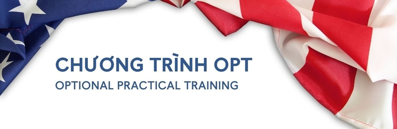 OPT là gì (ảnh 1)