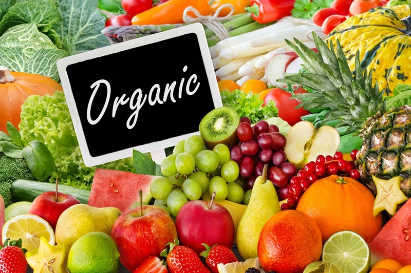 Organic là gì 10
