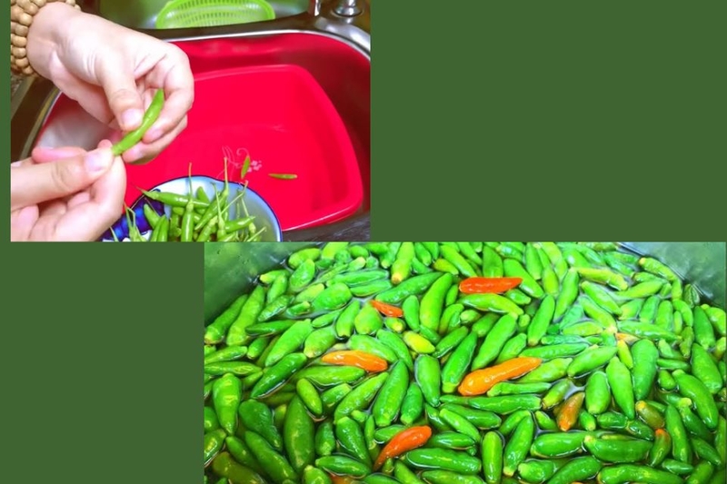 Sơ chế ớt xanh