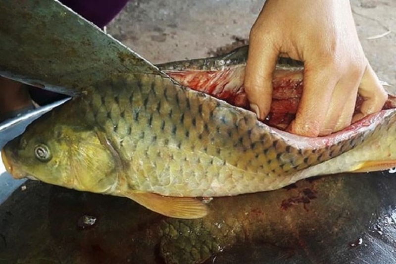 Bước 1: Sơ chế nguyên liệu