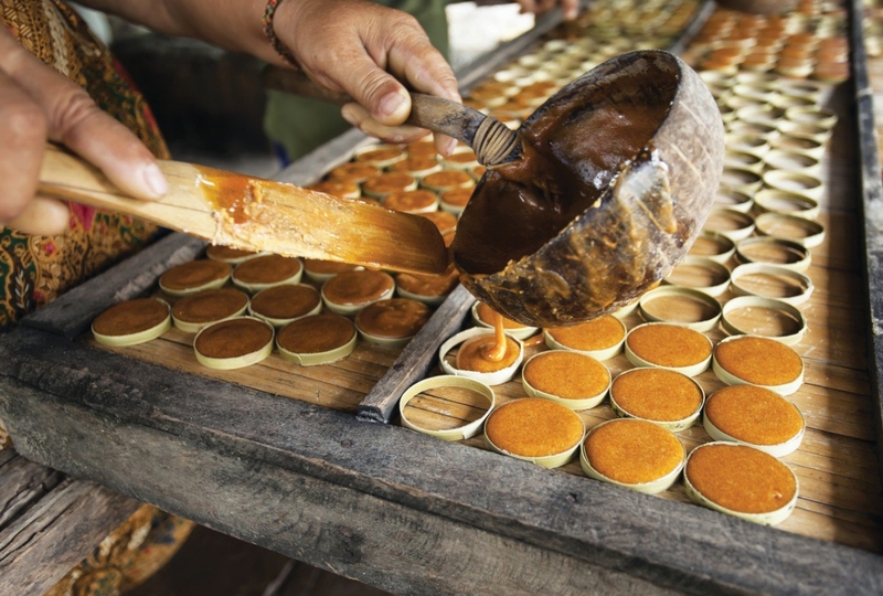 cong dung cua palm sugar