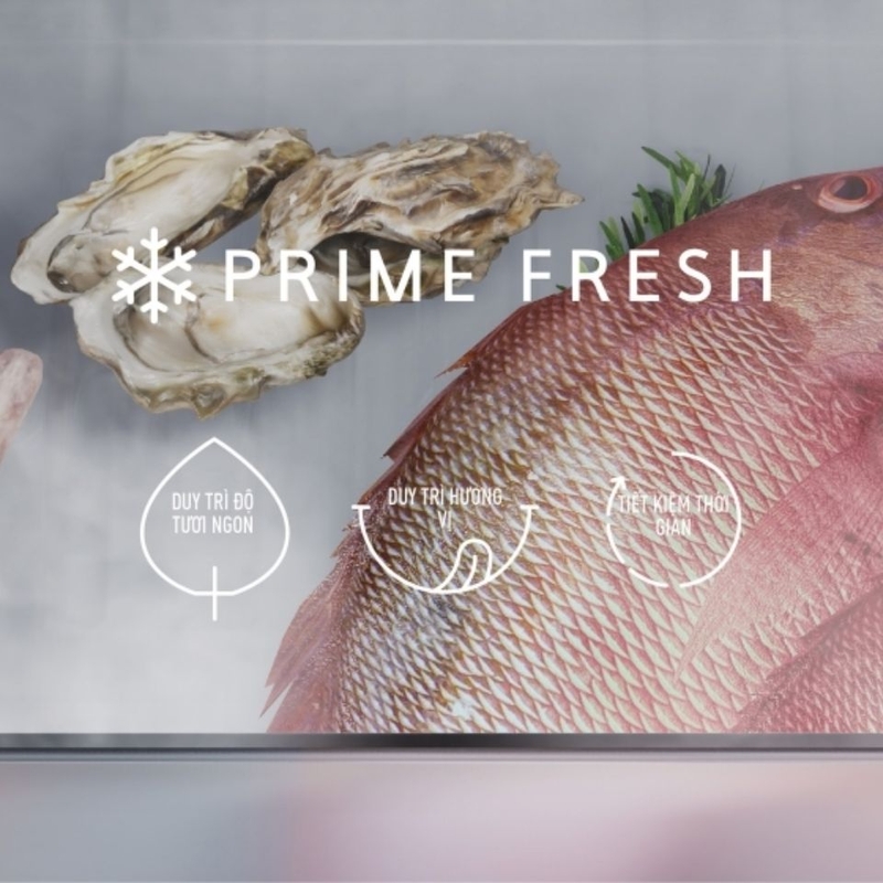 Ngăn đông mềm Prime Fresh của tủ lạnh Panasonic NR-BC361VGMV