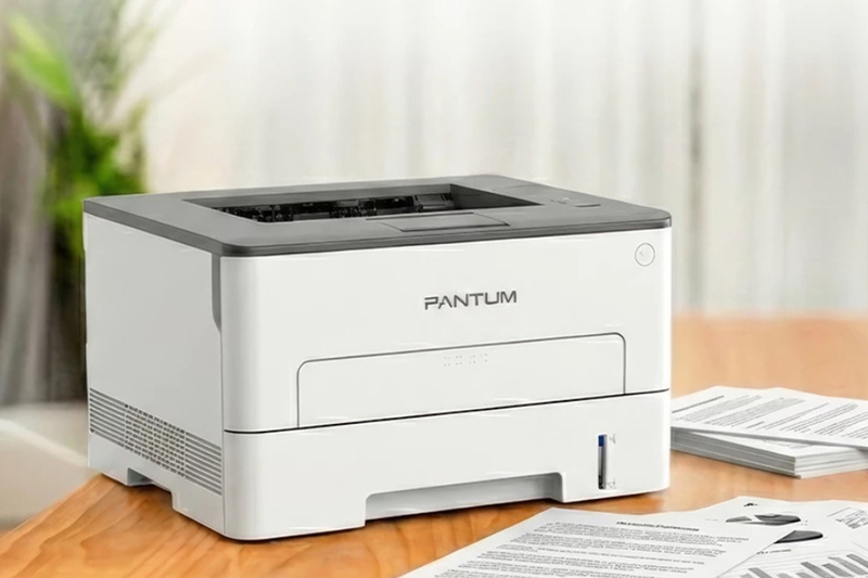 Máy in laser đơn năng Pantum P3022D 6