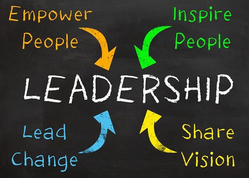 peer leadership là gì ảnh 2
