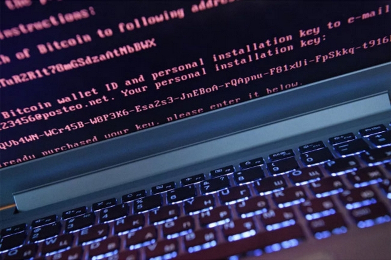 Petya là gì ảnh 1