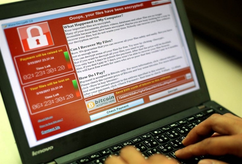 Petya là gì ảnh 5