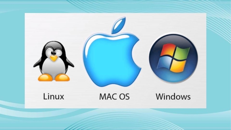 Các hệ điều hành được hỗ trợ tải về