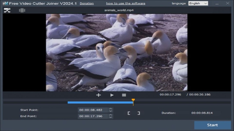 Free Video Cutter