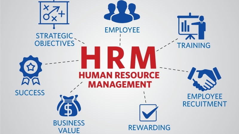 TEAMHUB HRM là phần mềm quản lý nhân sự dành cho những doanh nghiệp vừa và nhỏ