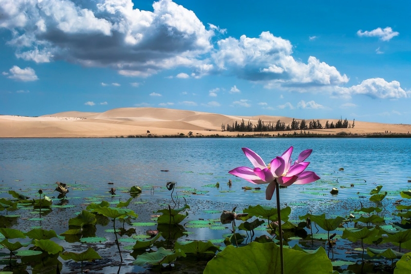 Phan Thiết có gì chơi - hình 10