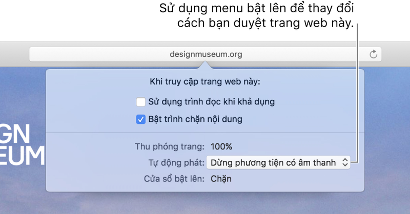 Phát video trên web trong Safari trên máy Mac - Hình 7