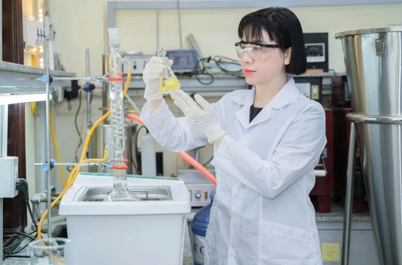 PhD là gì (ảnh 8)