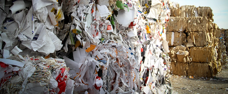 Phế liệu giấy