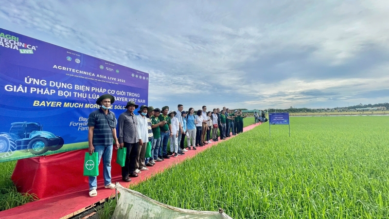 phép thử là gì ảnh 7