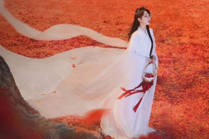 phim dài tập cày xuyên Tết 2026 10