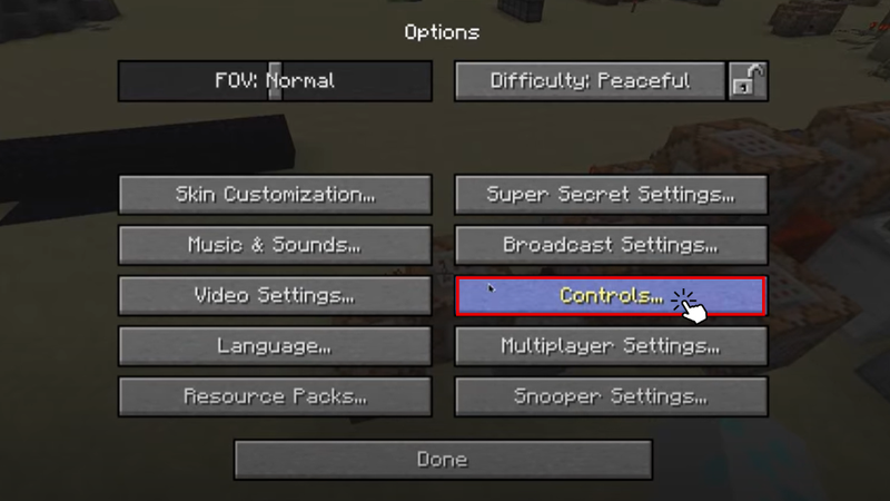 Ở giao diện cài đặt Options, hãy chọn mục Controls