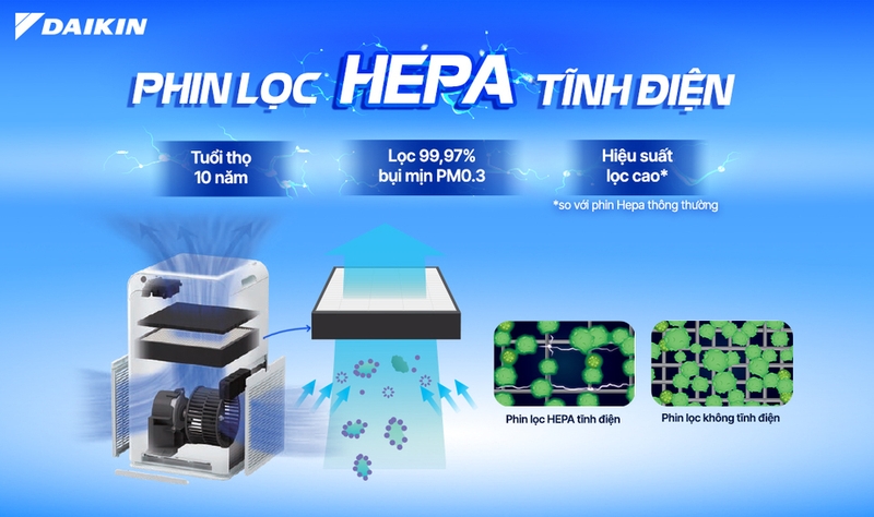 Phin có khả năng tự làm sạch vô cùng nhanh chóng