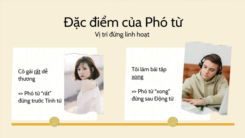 Phó từ có vị trí đứng linh hoạt trong câu