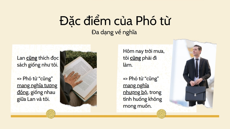 Ví dụ chứng minh phó từ đa dạng về nghĩa