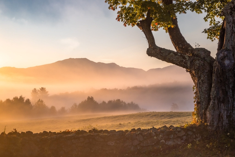 Phối cảnh (ảnh 4)