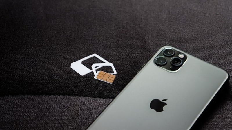 Phôi sim nóng máy là tình trạng gì?