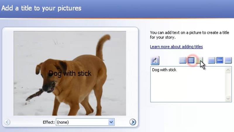 Đánh giá ưu điểm và nhược điểm của Photo Story 3 for Windows