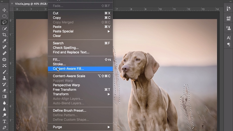 Content Aware Fill