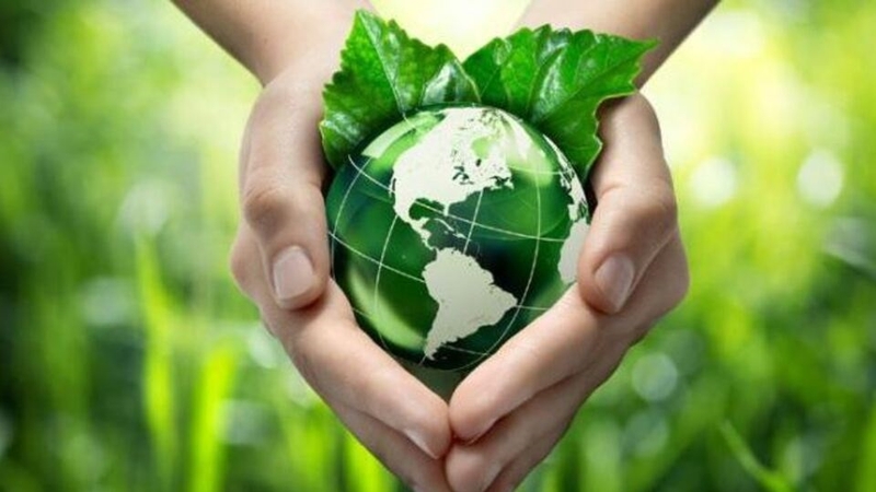 Cần xử lý chất thải đúng cách để không bị ô nhiễm môi trường