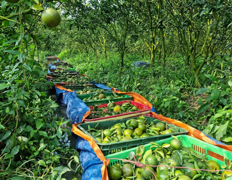 phường Đông Thành sau sáp nhập 3
