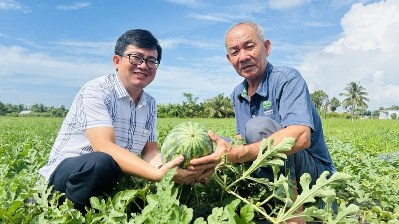 Phường Lý Văn Lâm của Cà Mau 2