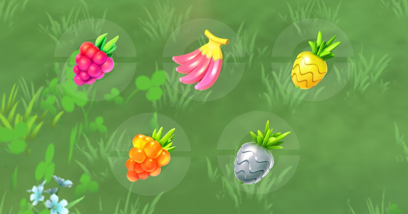 Berries
