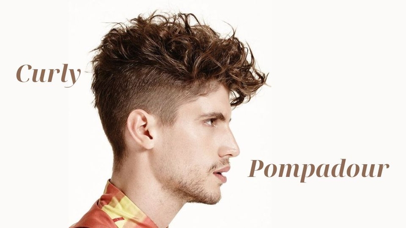 Curly Pompadour