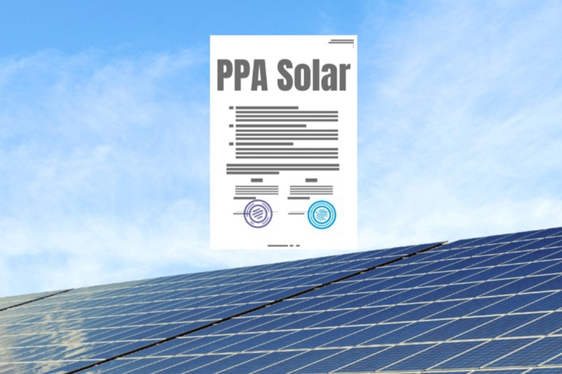 PPA là gì 6