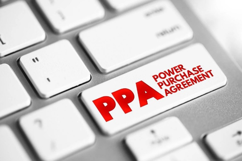 PPA là gì 8