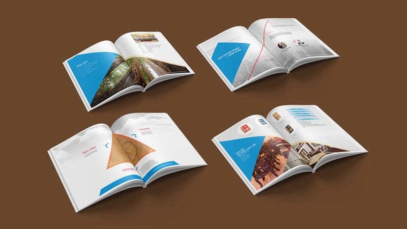 Profile công ty là gì (ảnh 4)