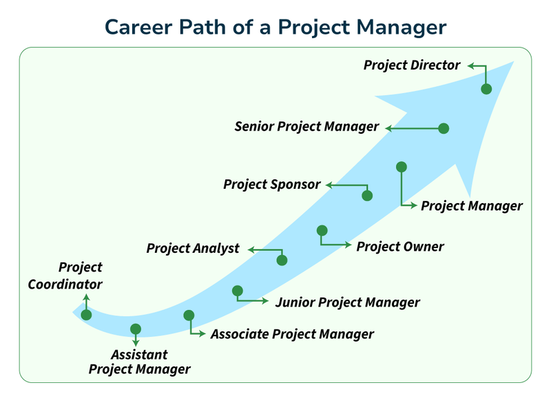 project coordinator 2.png