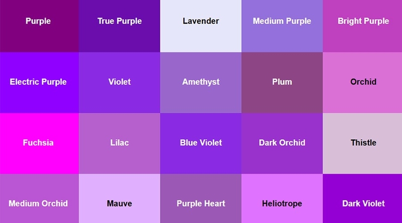 Purple là màu gì 1