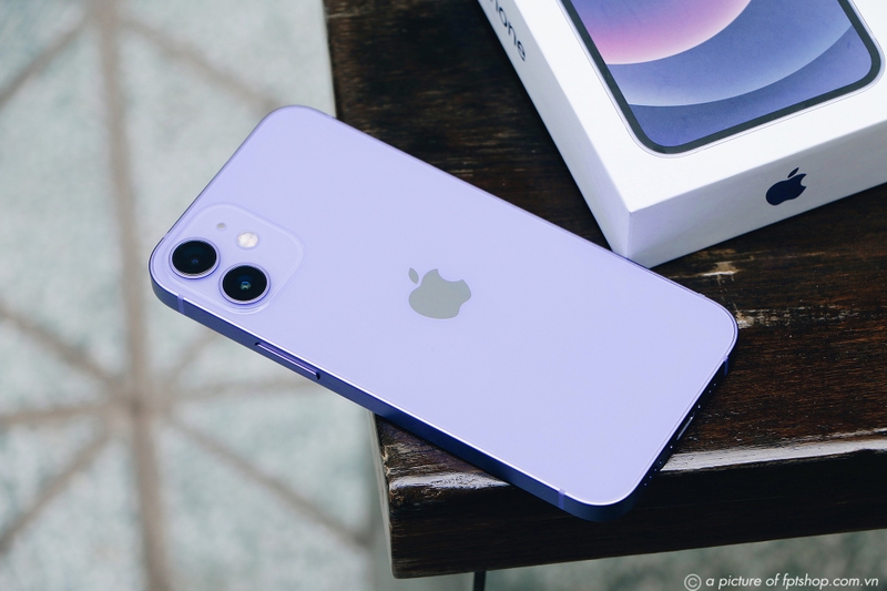 Purple là màu gì 4