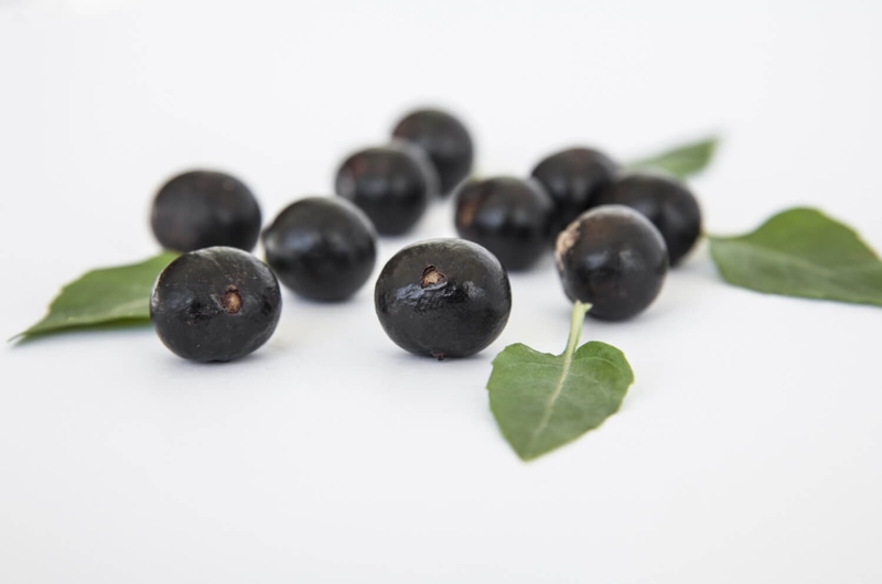 quả acai 4